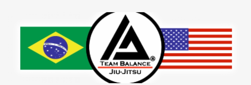 Gracie Jiu Jitsu, transparent png download