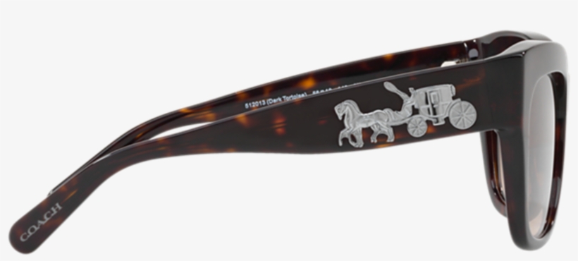 Brown Acetate Frame Sunglasses For Women - Dolce & Gabbana, transparent png download