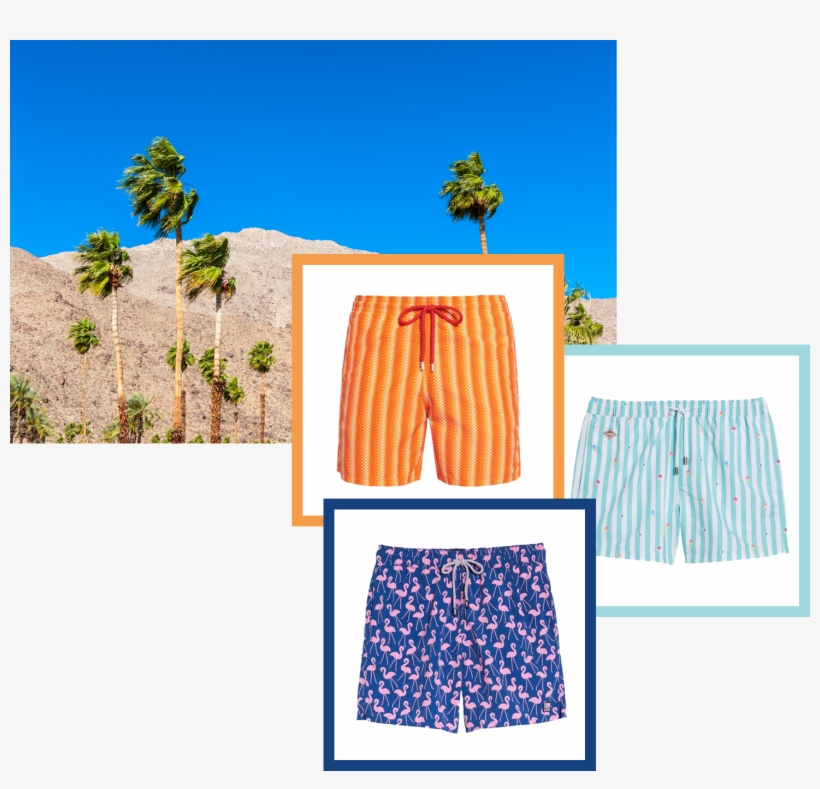 Swimsuits Inspired By Palm Springs - Attalea Speciosa, transparent png download