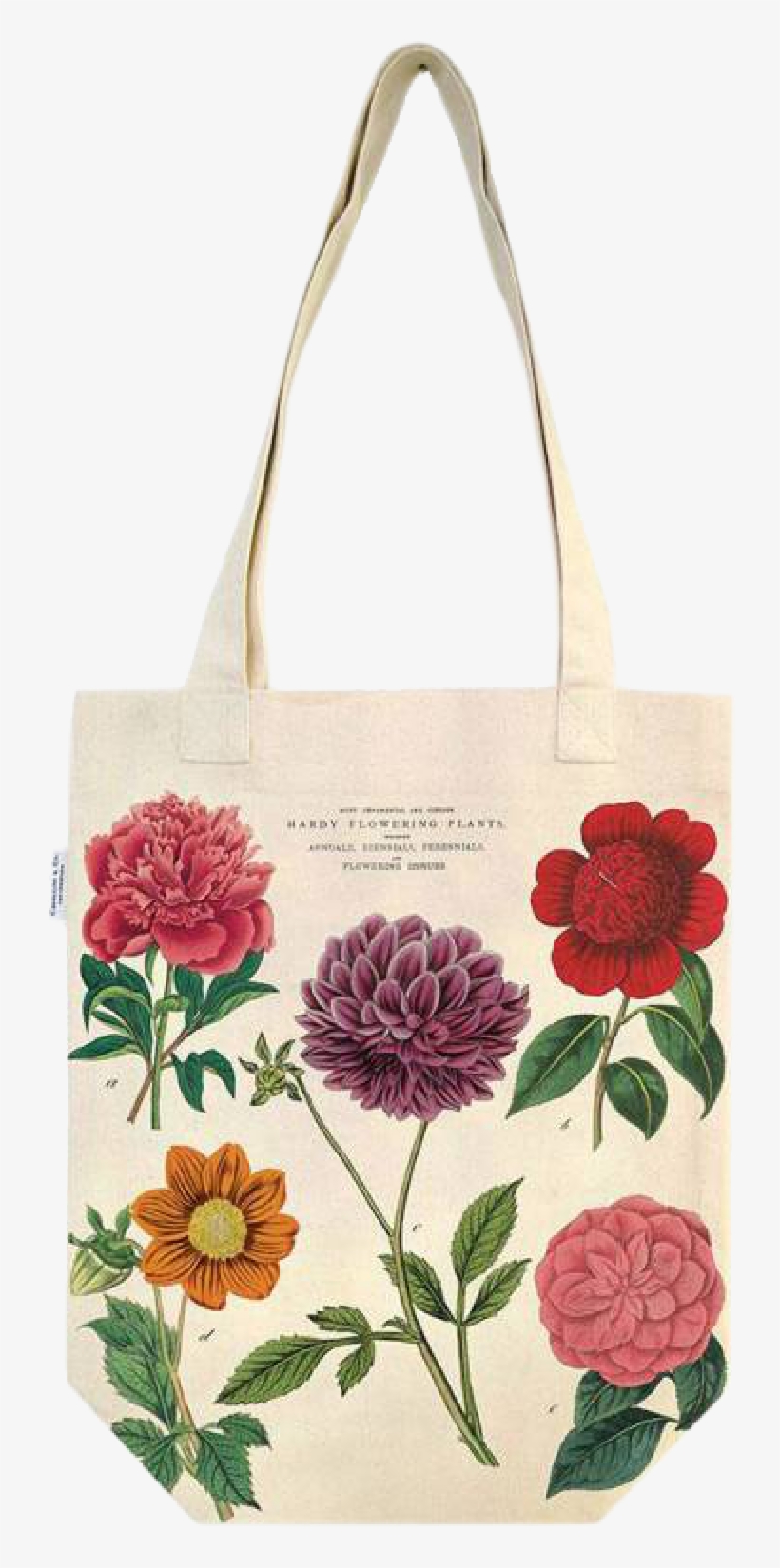 Samuel Curtis - Mauve Beauty Ii, transparent png download