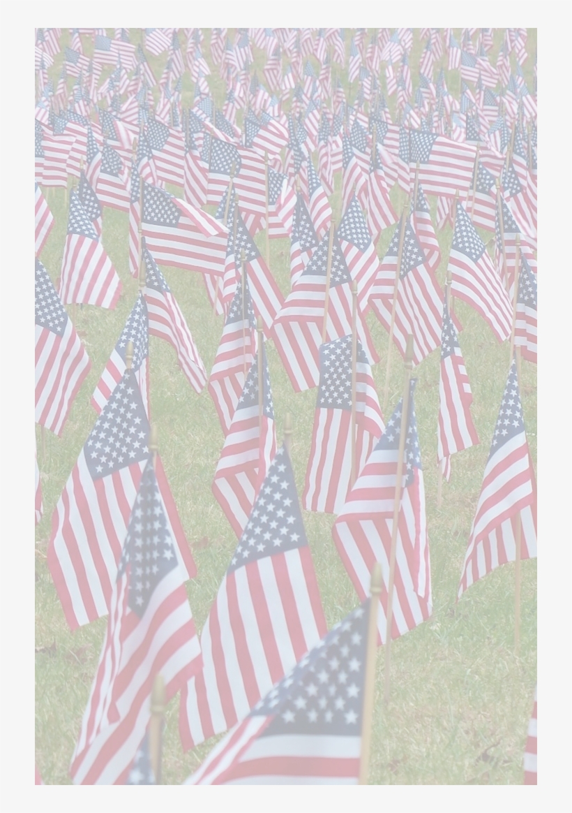 American Flag - Field Of American Flags, transparent png download
