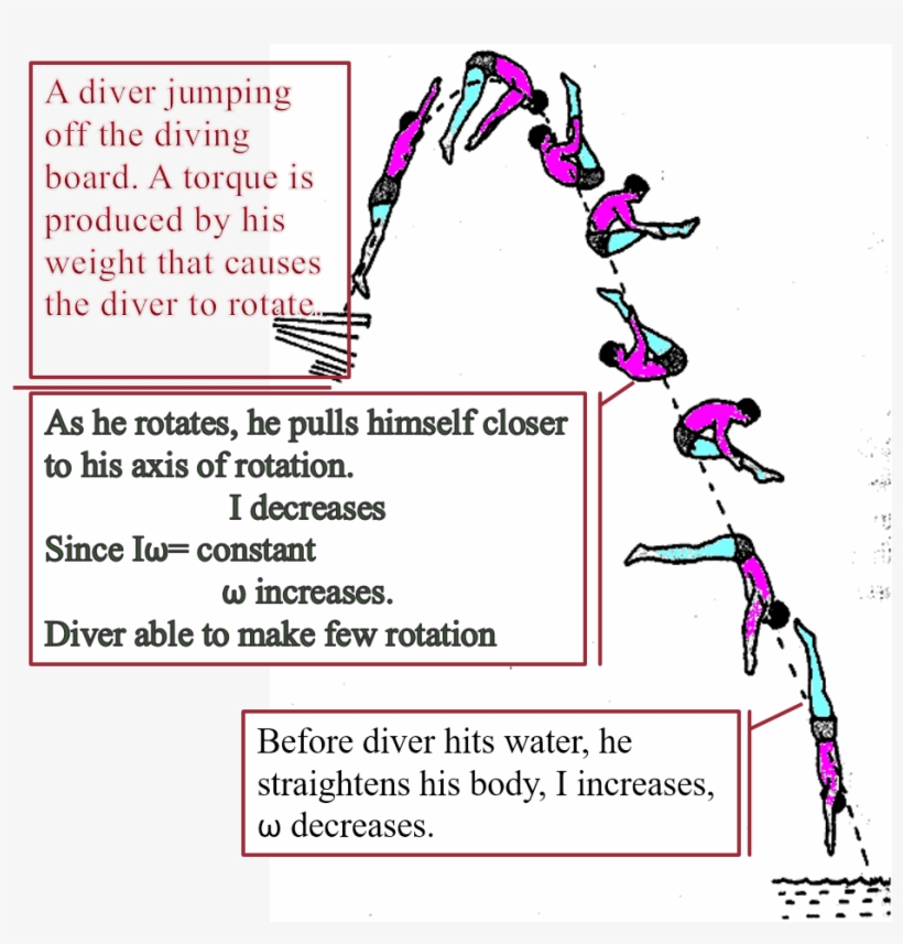 Posted By Umera Edham At - Rotation Of Rigid Body Diver, transparent png download