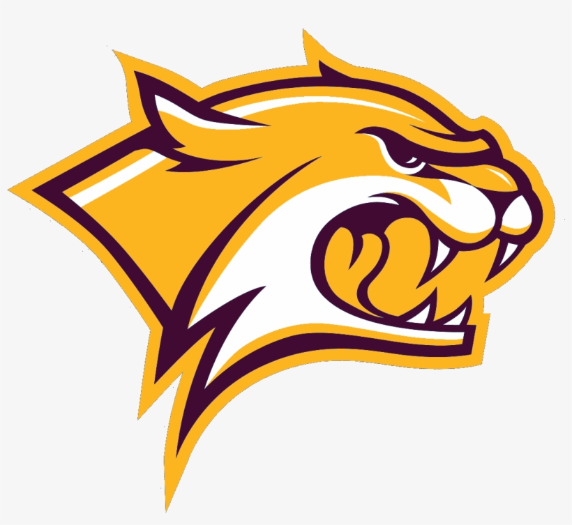 Wildcats - Unh Wildcats, transparent png download