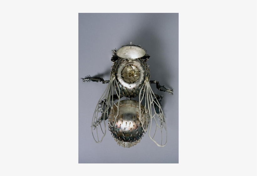 Macro Photography, transparent png download
