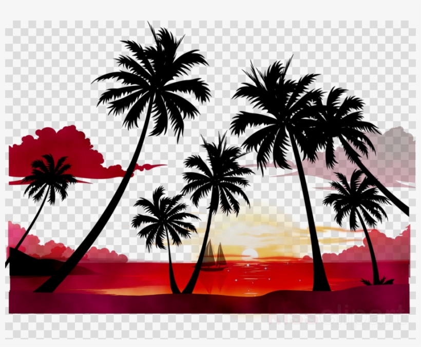 Asian Palmyra Palm Reggaeton Desktop Wallpaper - Gervaso Silva: Bossa Now! Vol.7-sade, transparent png download