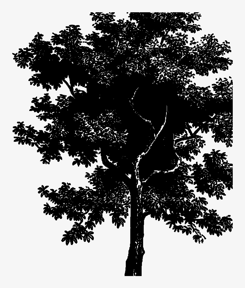 Red'shine - Sticker, transparent png download