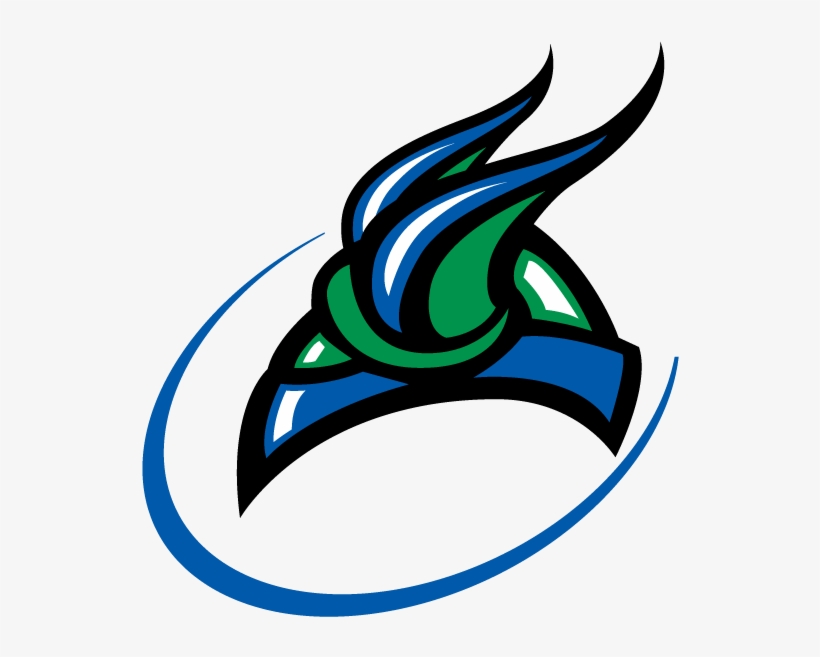 Color Swoosh Png Graphic Free - Bay College Norse Logo, transparent png download