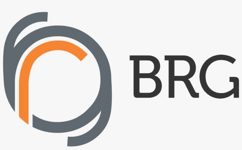 Brg Group Has Taken All Reasonable Care In Developing - Circle, transparent png download