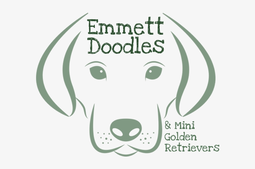 Emmett Goldendoodles And Mini Golden Retrievers - My Karma Ran Over My Dogma Rectangle Sticker, transparent png download