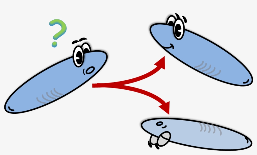 Survival Analysis Is Popular In Many Fields , But Not, transparent png download