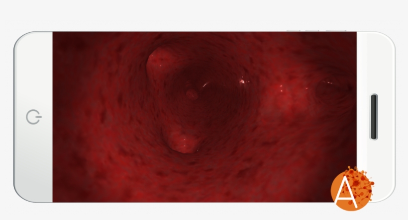 Anatomyou Vr - Circulatory System, transparent png download