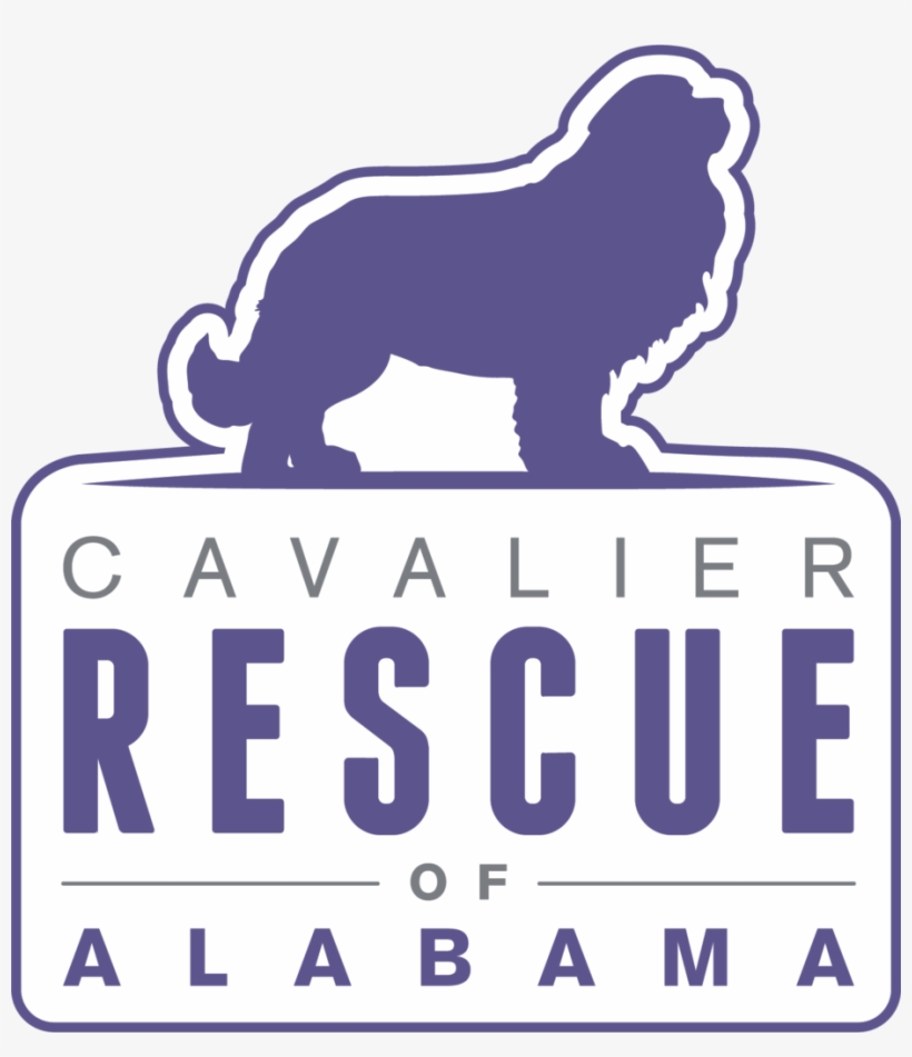 cav rescue
