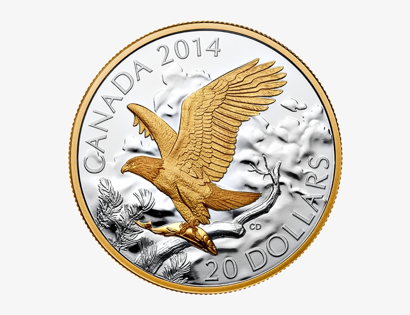 Fine Silver Gold-plated Coin - Silver, transparent png download