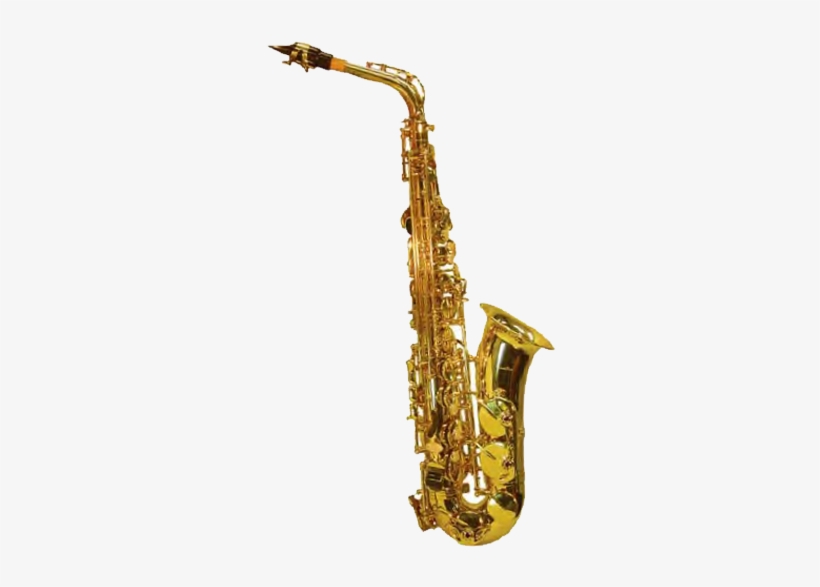 Freeuse Stock Saxophones Anthonys Music Lessons Liverpool - Alto Saxophone And Flute, transparent png download
