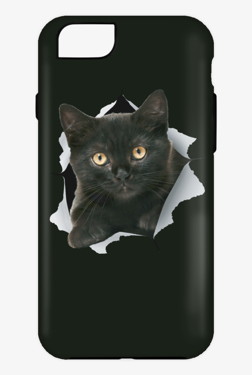 Black Kitten Iphone Case - Cat, transparent png download