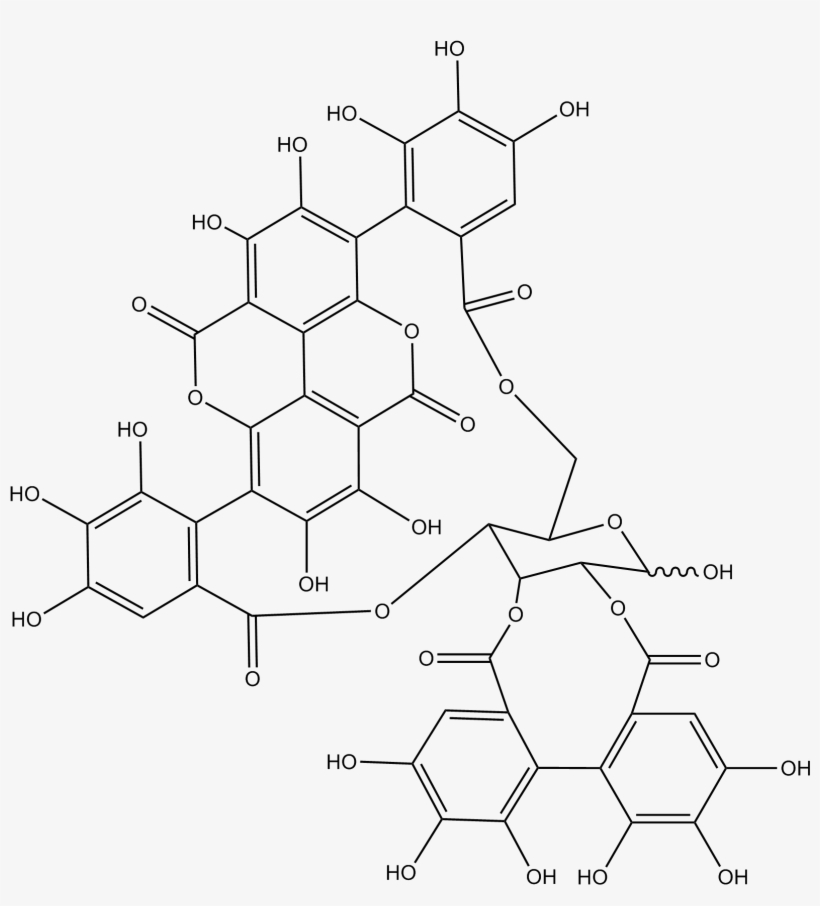 Oxidative Stress, Nutritional Antioxidants, And Testosterone