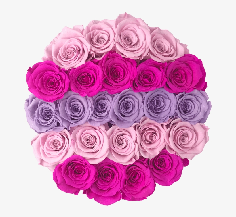 Prev - New York City, transparent png download