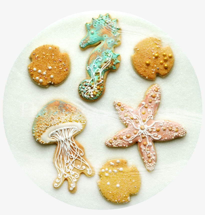 Circle 1,600×1,600 Pixels - Cookie, transparent png download