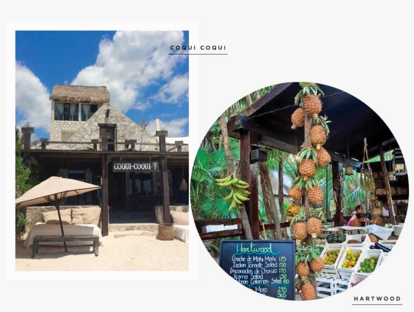 Coqui - Tourist Attraction, transparent png download