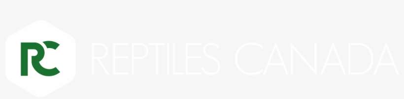 Reptiles Canada Forums - Bird On A Perch, transparent png download