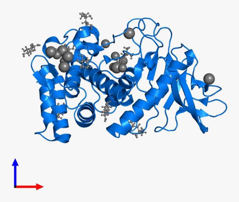<div Class='caption-body'>pdb Entry 5uub Contains 1, transparent png download