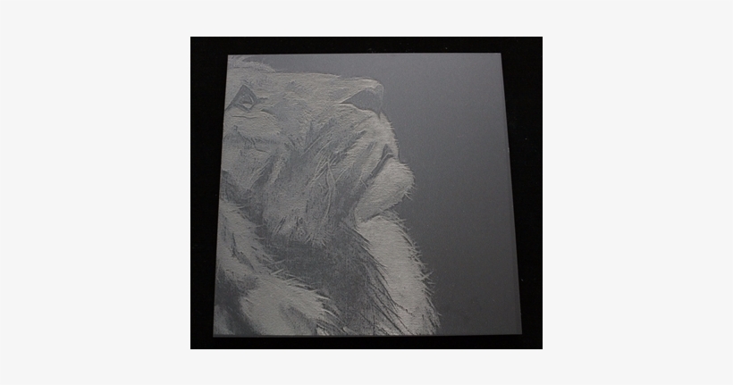 Lion Etch Resized - Lion, transparent png download