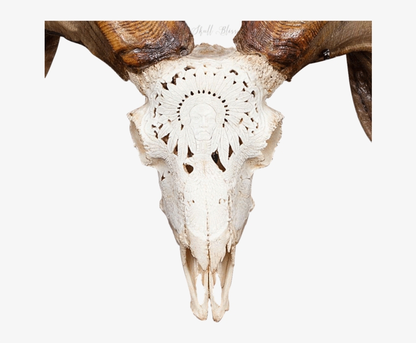 Carved Ram Skull - Ram Skull, transparent png download