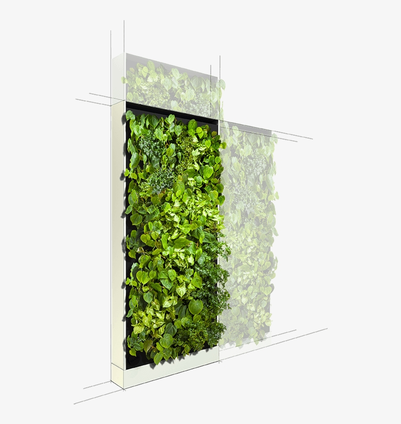 Wall Plug, Smart Technologies, Green Furniture, Workplace - Wall, transparent png download