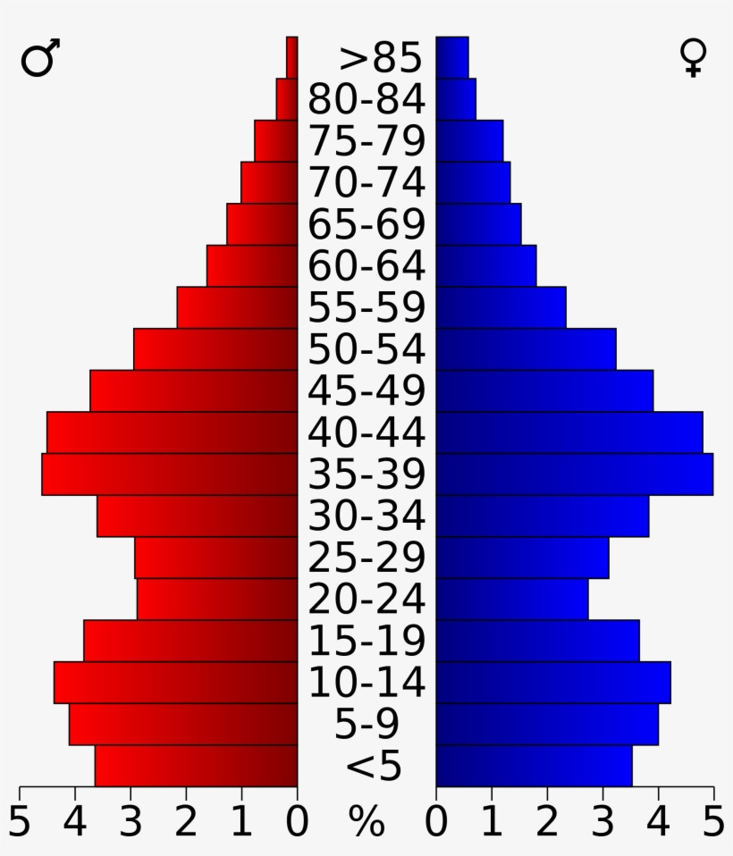 Open - Population Pyramid Of Palm Beach County, transparent png download