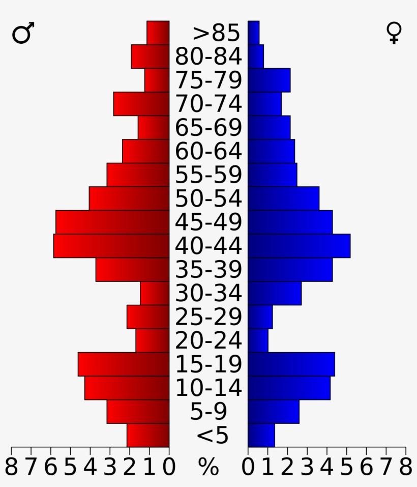 Open - Population Pyramid Of Palm Beach County, transparent png download