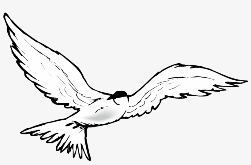 Swan Goose Clip Art Transprent Png Free - Clip Art, transparent png download
