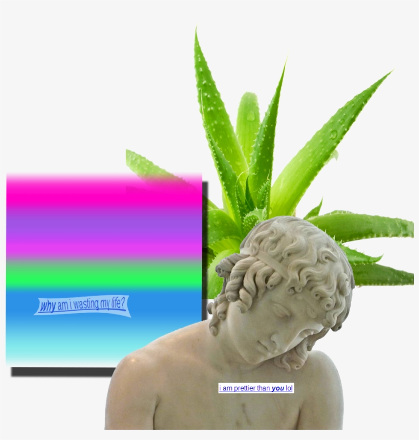 Corpore Sano Soap Aloe Vera Plant 100 Gr, transparent png download