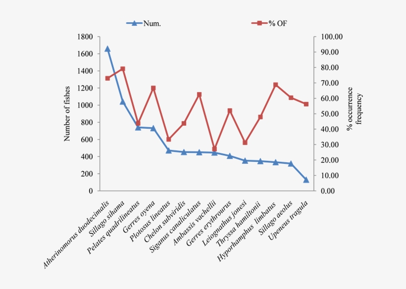 Number Of Dominant Species And Percentage Of Occurrence - Uso De Internet En Europa, transparent png download