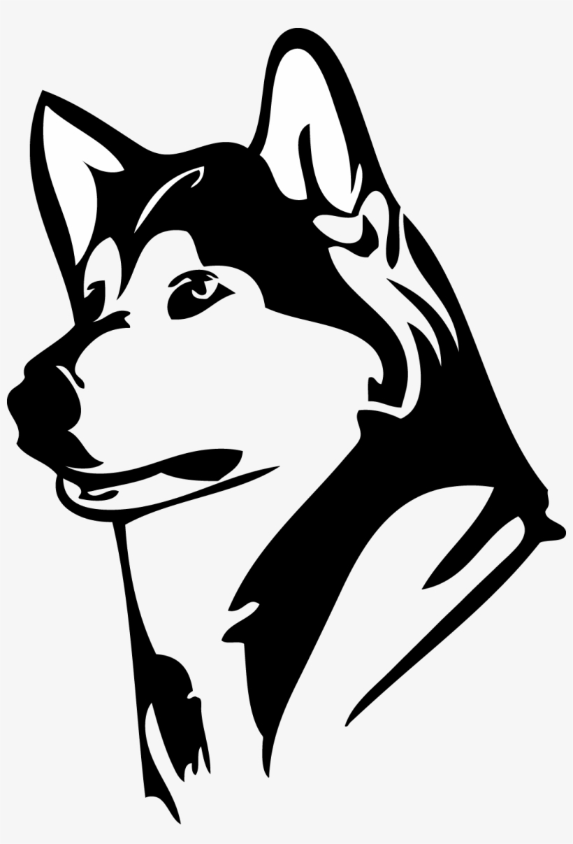 Husky Drawing Skull - Uw Husky Logo, transparent png download