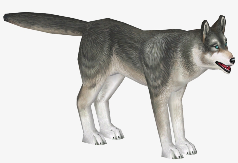 Husky - Siberian Husky, transparent png download