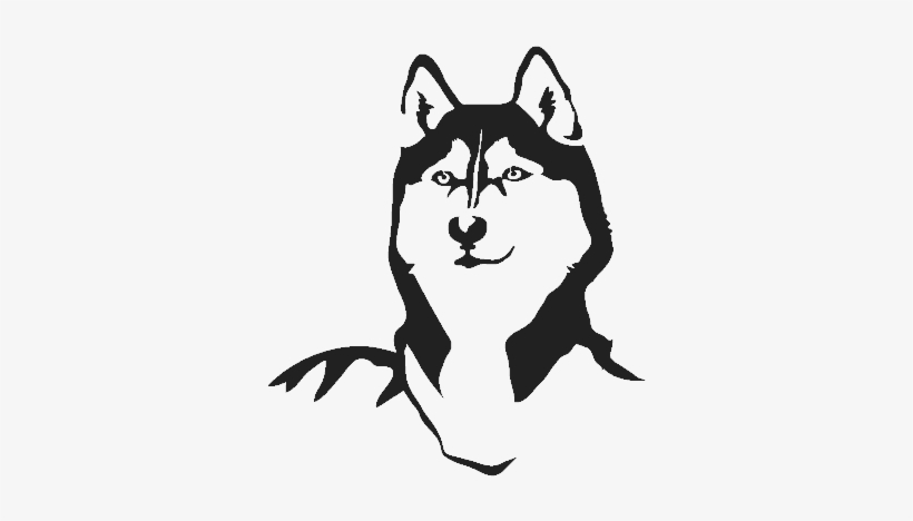 Welcome To Arctic Paws Huskyright - Dog, transparent png download