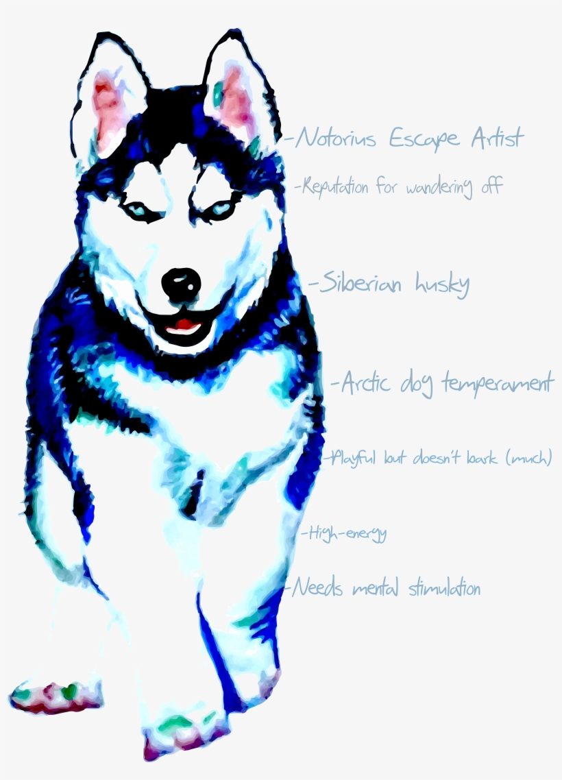 Falls Creek Sled Dogs, transparent png download