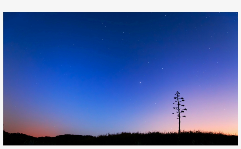 Score 50% - .org, transparent png download