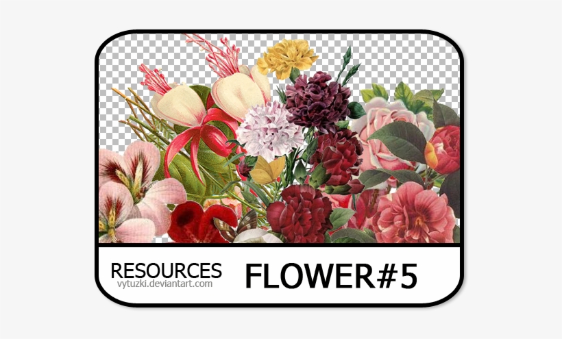 Flower Png Pack Banner Royalty Free Library - Reproduction Procédé Giclée Camellia, 1833, 61x46cm., transparent png download