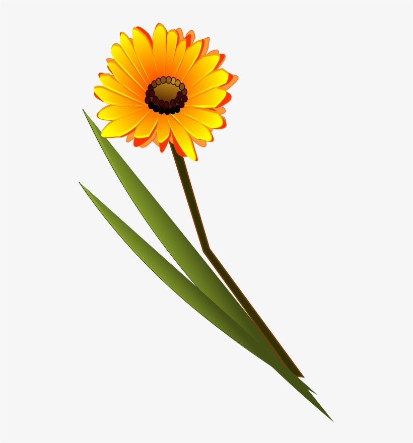 Tag - Flower - Flower Clip Art, transparent png download