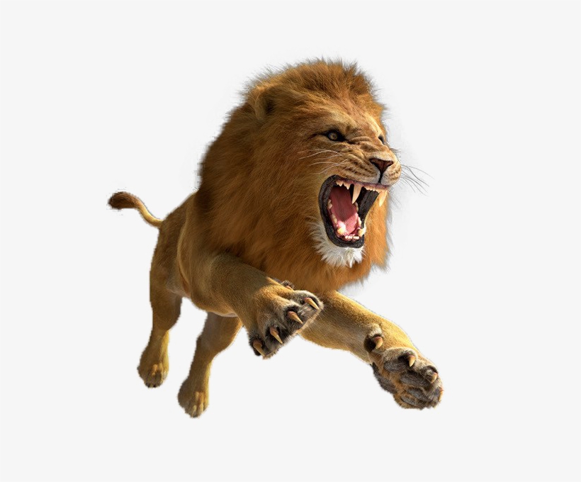 African Lion Png Image - Lion Png, transparent png download