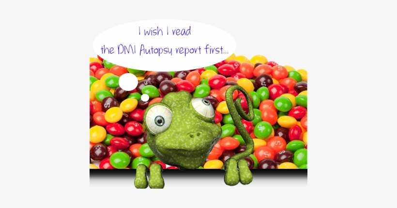 Skittles Png Average Directional Index Indicator - Chameleon In A Bag Of Skittles, transparent png download
