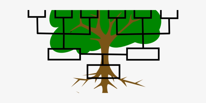 The First Digital Family Tree, Operational In Romania - Genealogy, transparent png download
