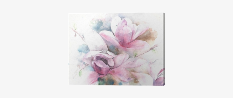 Magnolia Flower Tree Tulip Magnolia Watercolor Painting - Magnolia Grafika, transparent png download