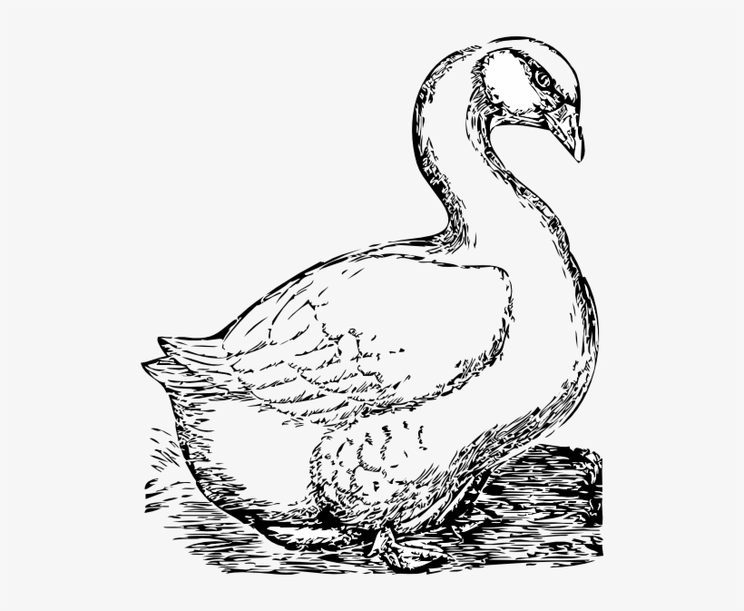 Afficher L'image D'origine - Goose Clip Art, transparent png download