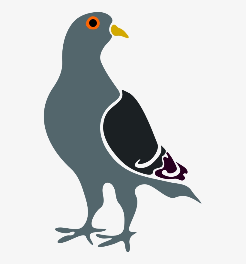 Free Vector Pigeon - Pigeon Clip Art, transparent png download