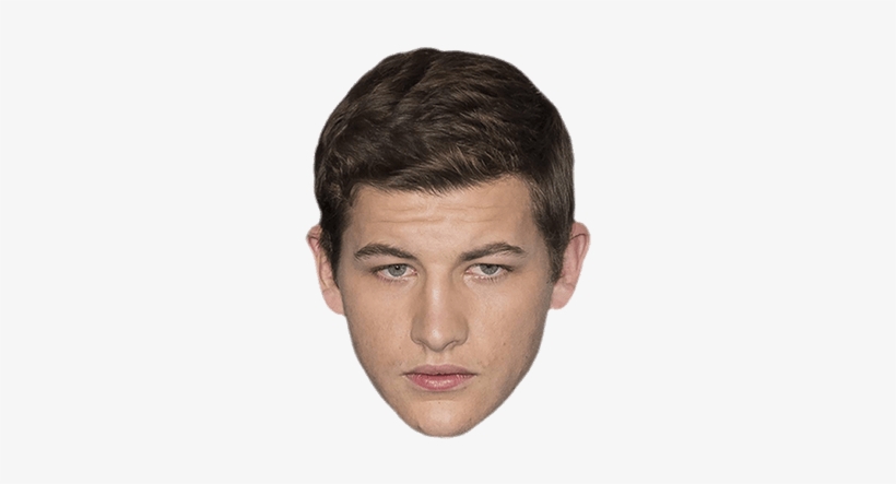 Tye Sheridan Face - Tye Sheridan Png, transparent png download