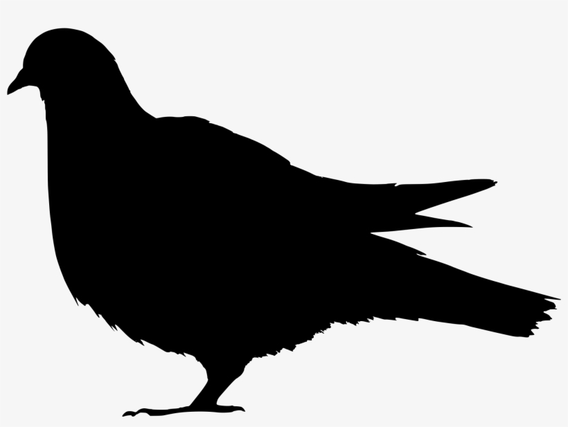 Silhouette Of A Pigeon, transparent png download