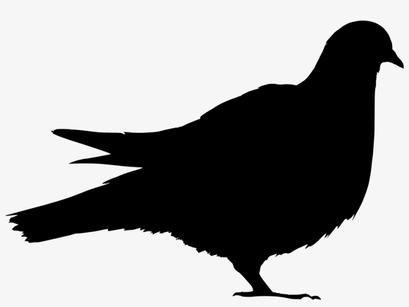 Clip Transparent Library At Getdrawings Com Free For - Silhouette Of A Seal, transparent png download