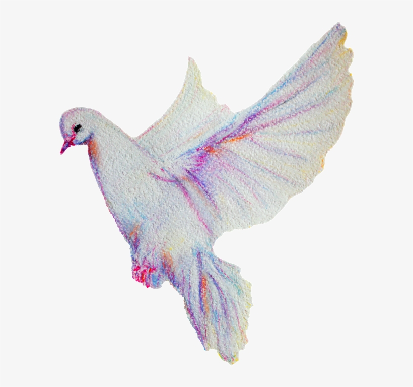 Transparent Decorative Material For The Peaceful White - Rock Dove, transparent png download